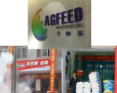 猪肉价格连跌12周地产商进军养猪业被猪圈套牢