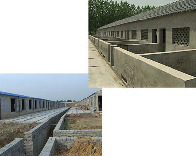 猪肉价格连跌12周地产商进军养猪业被猪圈套牢